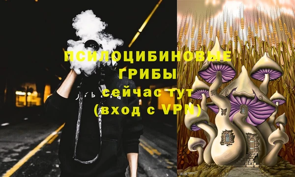 a pvp Струнино